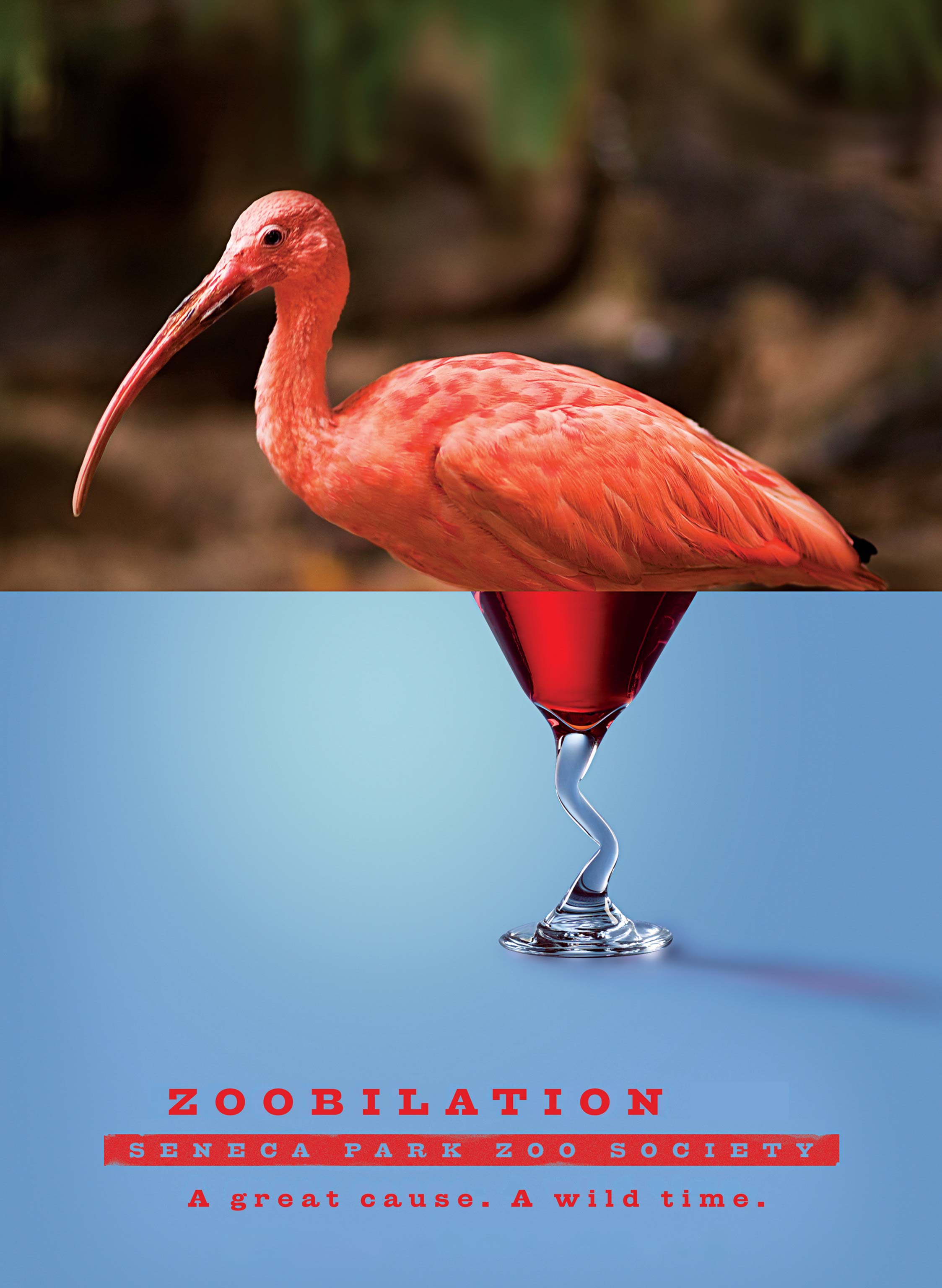 zoobilation flamingo