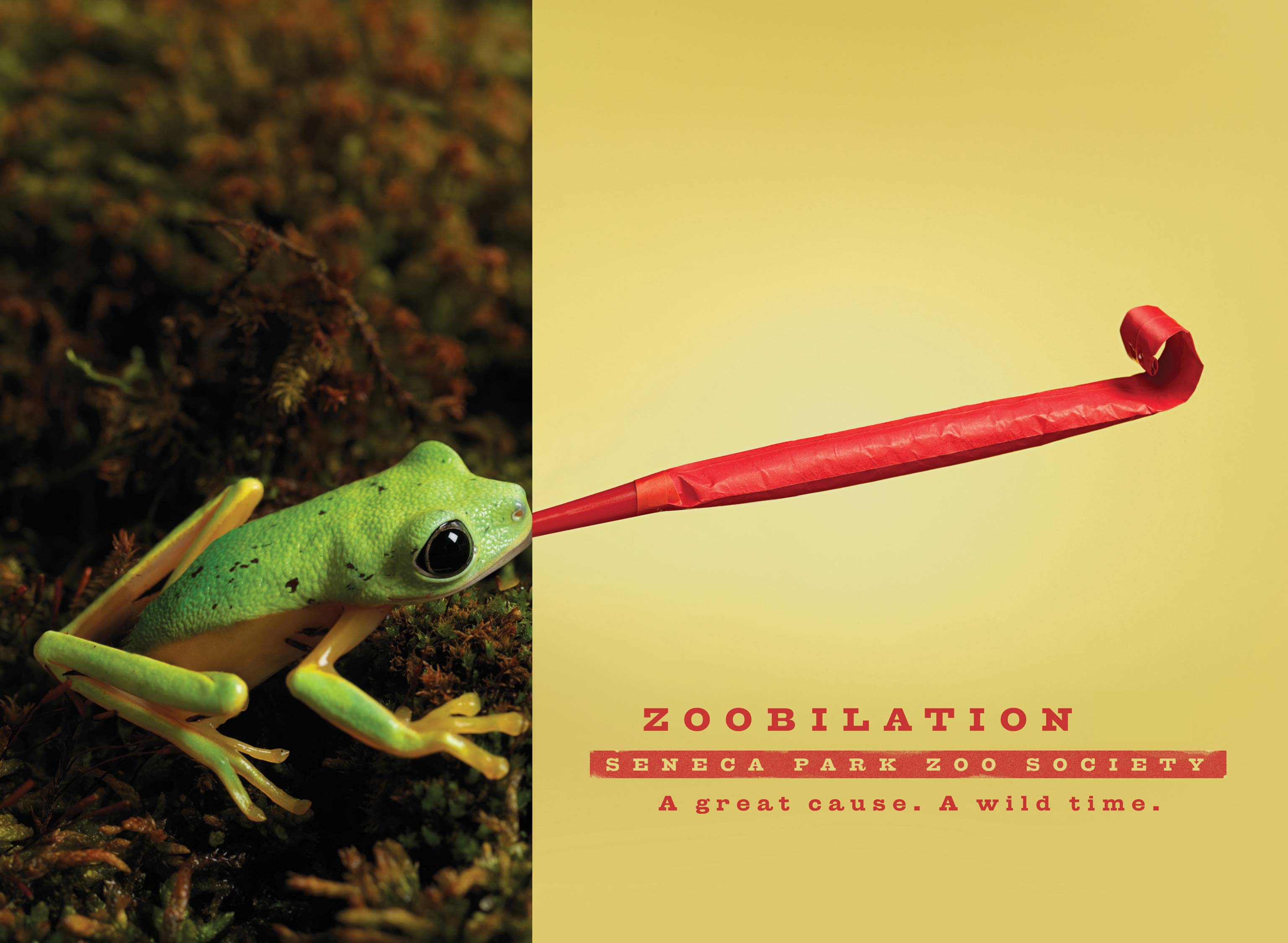 zoobilation frog